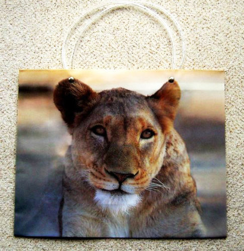 1 x Large Reusable Decorative Gift Bag Carrier Lioness Lion 33 x10x26cm LS5