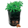 BRAND NEW POTATO PLANTING BAG 360 x 510 MM GARDENING GARDEN PLANTER TOOLS P308